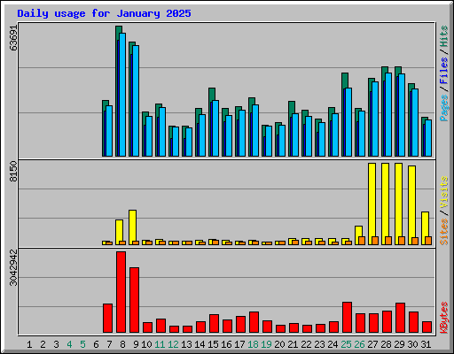 Daily usage for January 2025