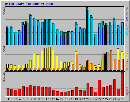 Daily usage for August 2025