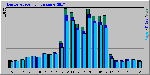 Hourly usage for January 2017