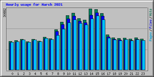 Hourly usage for March 2021