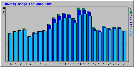Hourly usage for June 2021