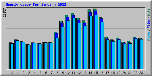 Hourly usage for January 2022