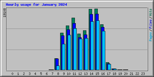 Hourly usage for January 2024
