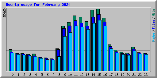 Hourly usage for February 2024