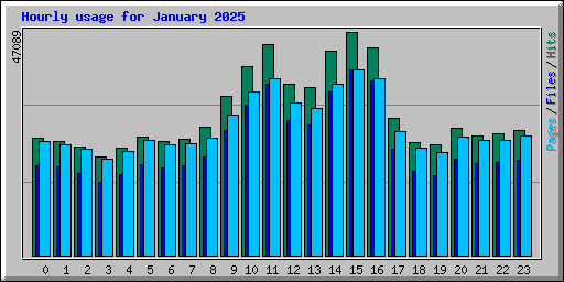 Hourly usage for January 2025