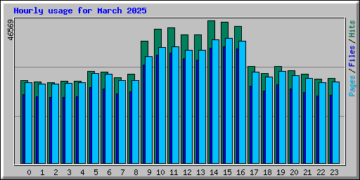 Hourly usage for March 2025
