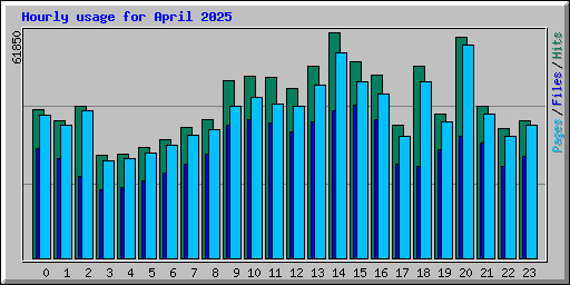 Hourly usage for April 2025