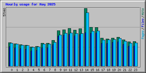 Hourly usage for May 2025