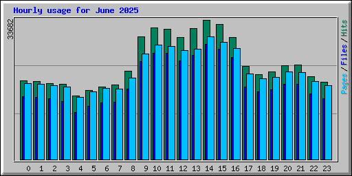 Hourly usage for June 2025