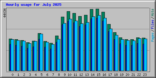 Hourly usage for July 2025