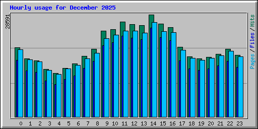 Hourly usage for December 2025